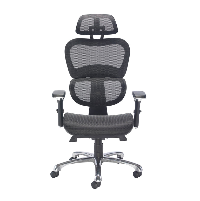 Chachi Ergonomic Chair