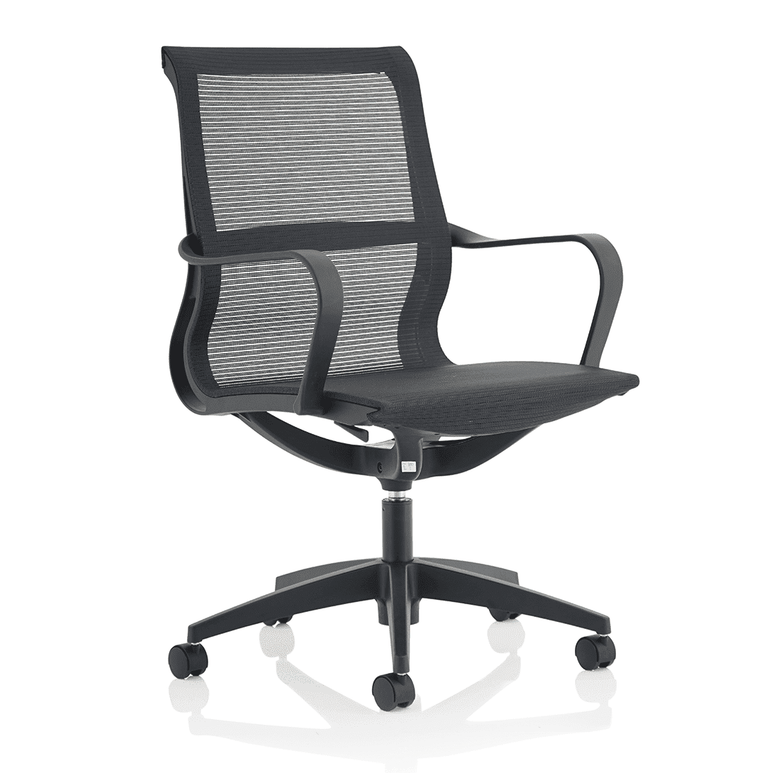 Lula Medium Mesh Back Executive Office Chair - Adjustable Arms, Gas Height, Tilt Tension, 110kg Capacity, 8hr Usage, 2yr Warranty - Flat Packed