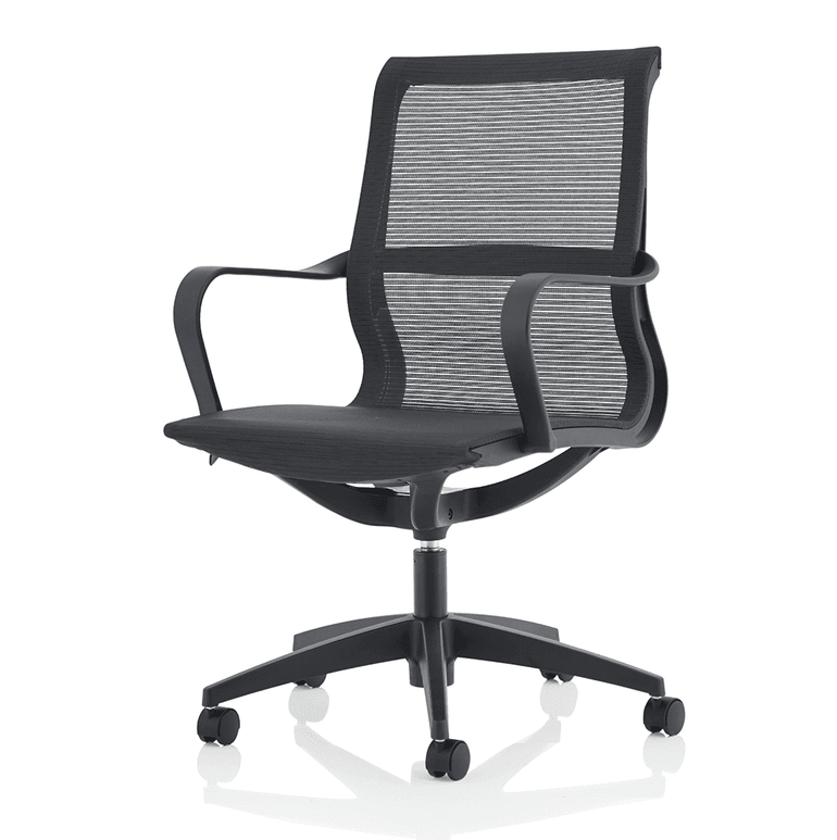 Lula Medium Mesh Back Executive Office Chair - Adjustable Arms, Gas Height, Tilt Tension, 110kg Capacity, 8hr Usage, 2yr Warranty - Flat Packed