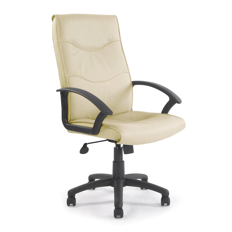 High Back Leather Faced Executive Armchair with Detailed Stitching - Office Products Online