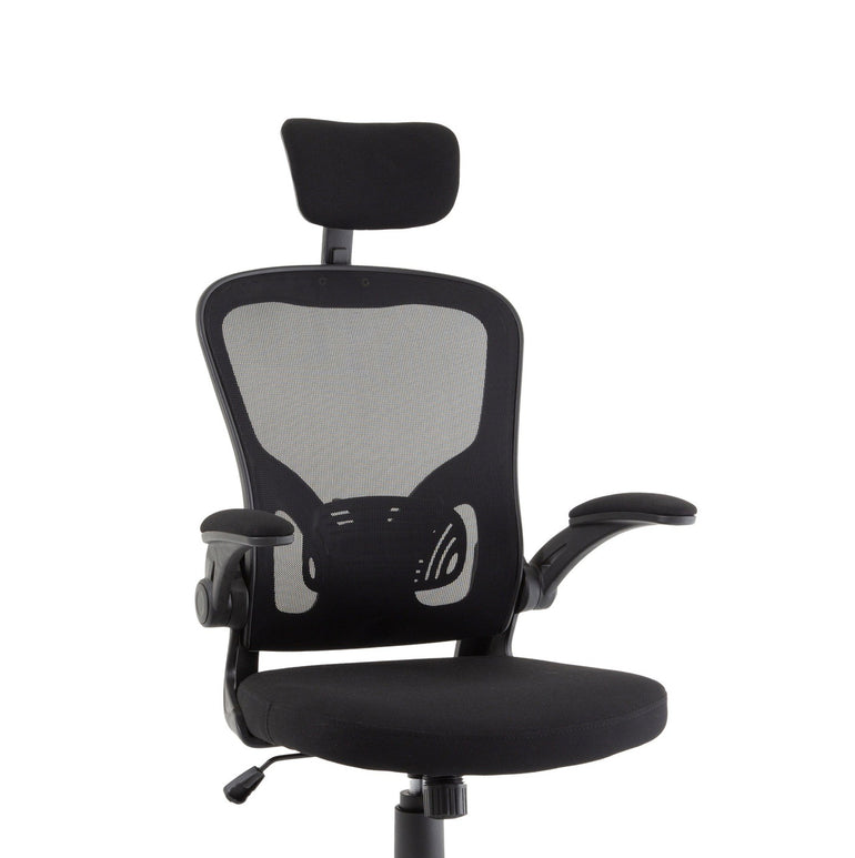Ace Executive Mesh Chair With Folding Arms