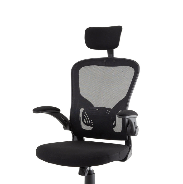 Ace Executive Mesh Chair With Folding Arms