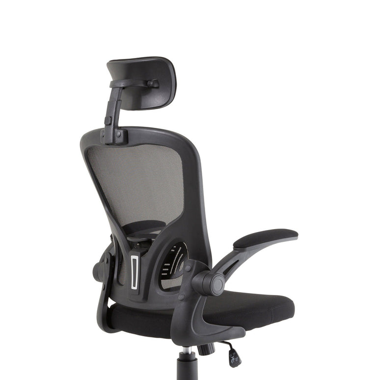 Ace Executive Mesh Chair With Folding Arms