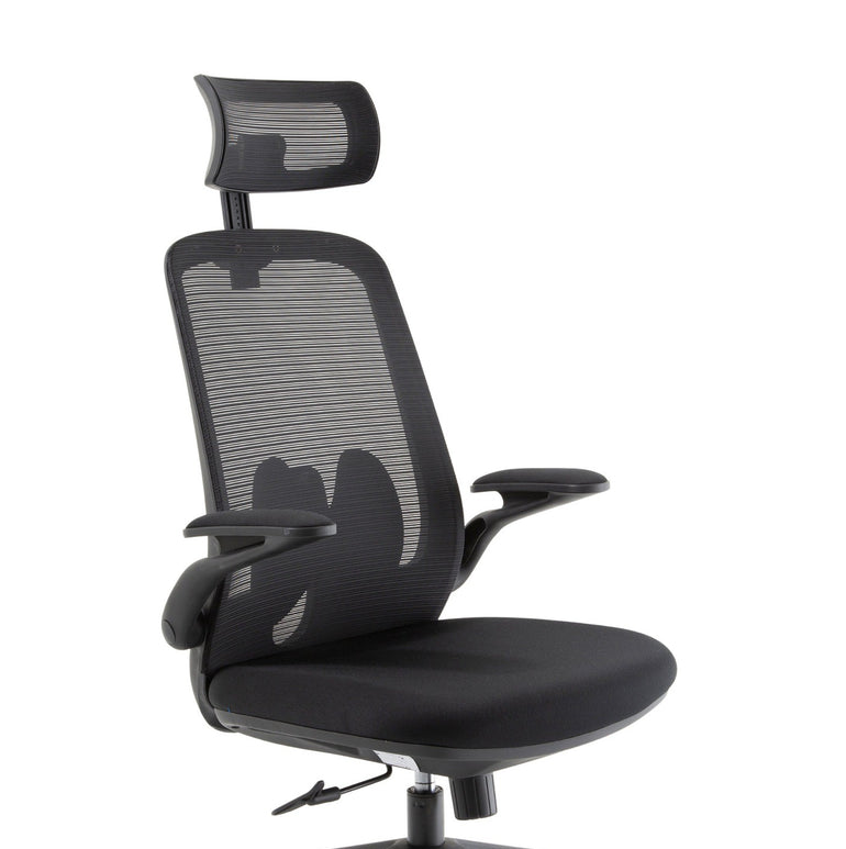 Sigma Executive Mesh Chair With Folding Arms