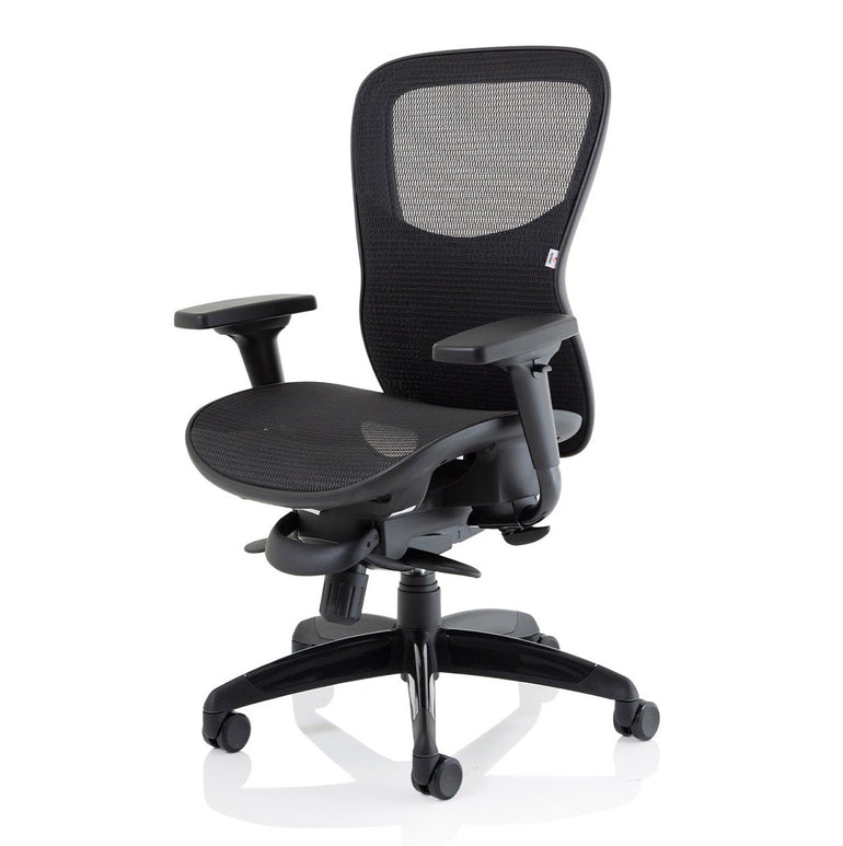 Stealth Shadow High Mesh Back Ergonomic Posture Chair with Arms - 24hr Usage, Adjustable Lumbar Support & Headrest, 135kg Capacity