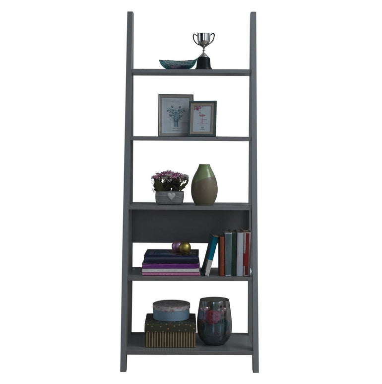 Riva Ladder Bookcase allhomely
